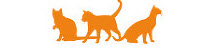 silhouette of 3 cats